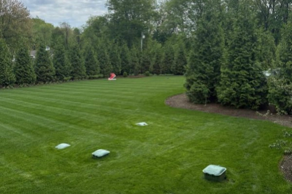 Landscaping Maintenance