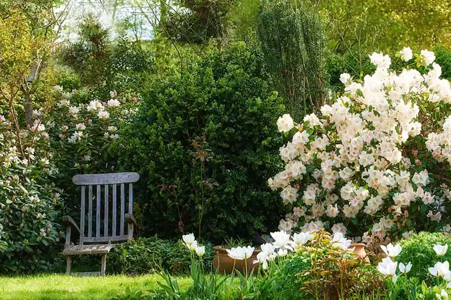 Professional Landscaper