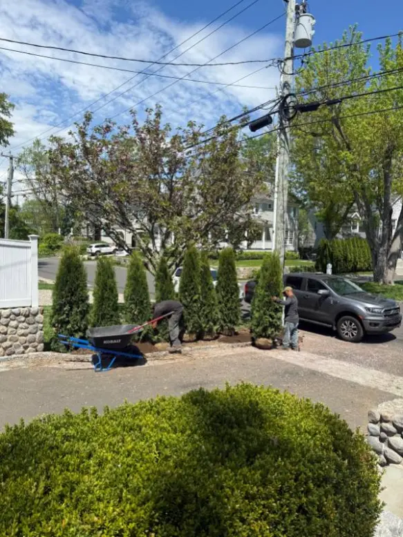 Quality Landscaping Services