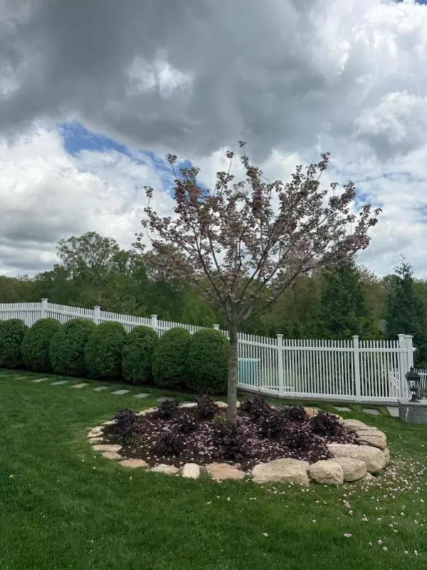 Reliable Landscaping Services